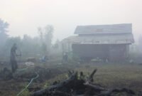 Kekeringan, melanda Daerah di Kalimantan Selatan