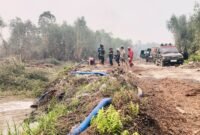 Keterangan Foto: Penanganan karhutla di Hutan Lindung Persemaian Liang Anggang Kota Banjarbaru.