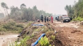 Keterangan Foto: Penanganan karhutla di Hutan Lindung Persemaian Liang Anggang Kota Banjarbaru.
